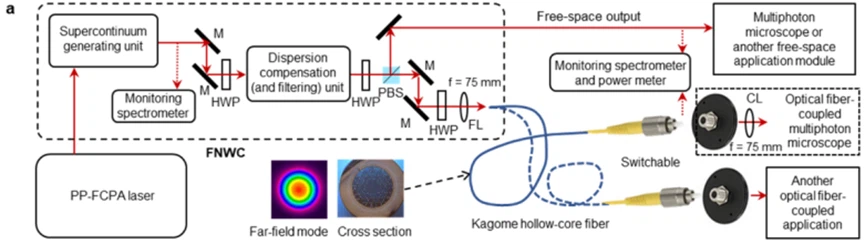 Fiber optic nonlinear wavelength conversion Fiber optic nonlinear wavelength conversion