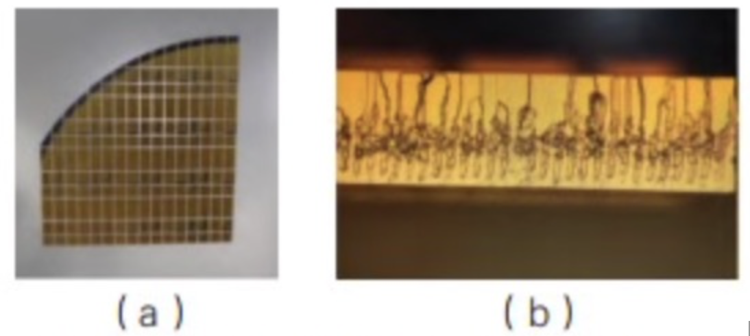 news-1094-490 news-1094-490